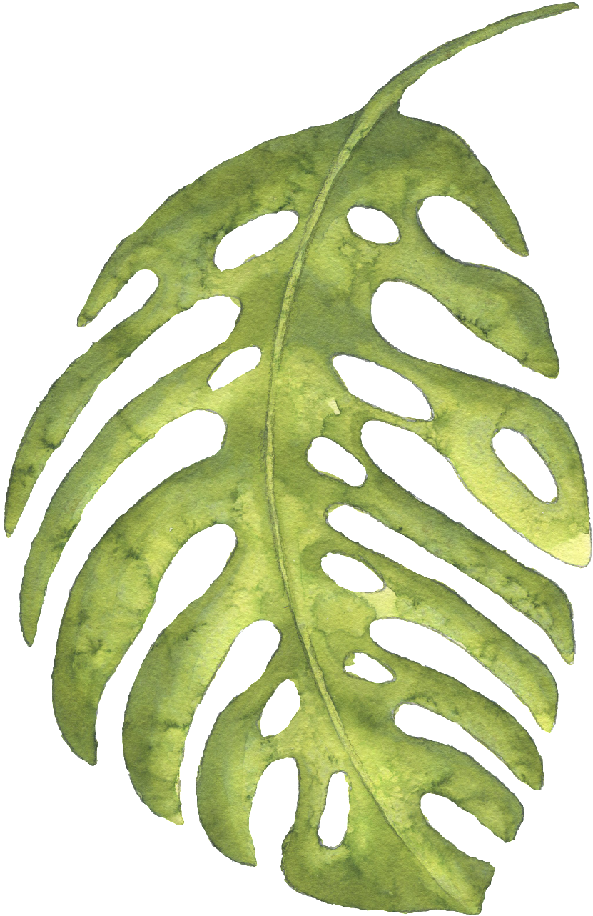 The Green Banana Leaves Large Hand-painted Watercolor - Escape: Wild Design:watercolor: Journal: Dairy: Composition (1024x1433)