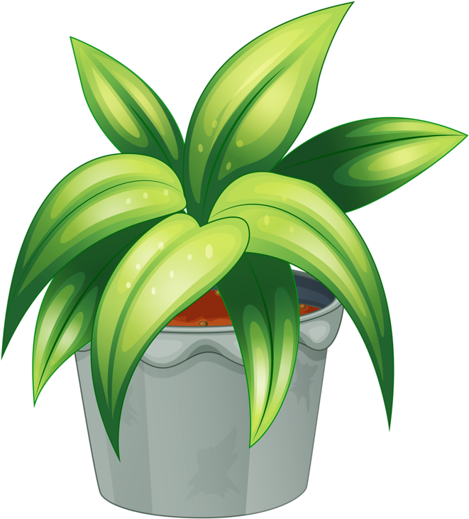 Pot Plant Clipart Botany - Flowering Plant And Non Flowering Plant (747x800)