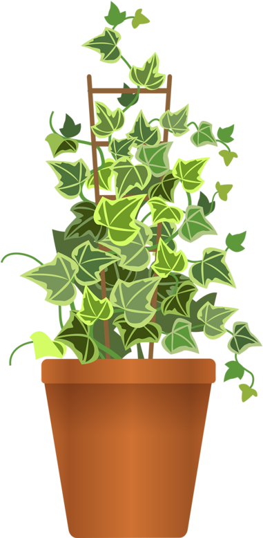 Pot Plant Clipart Flora - Pot Flower Plant Png (399x800)