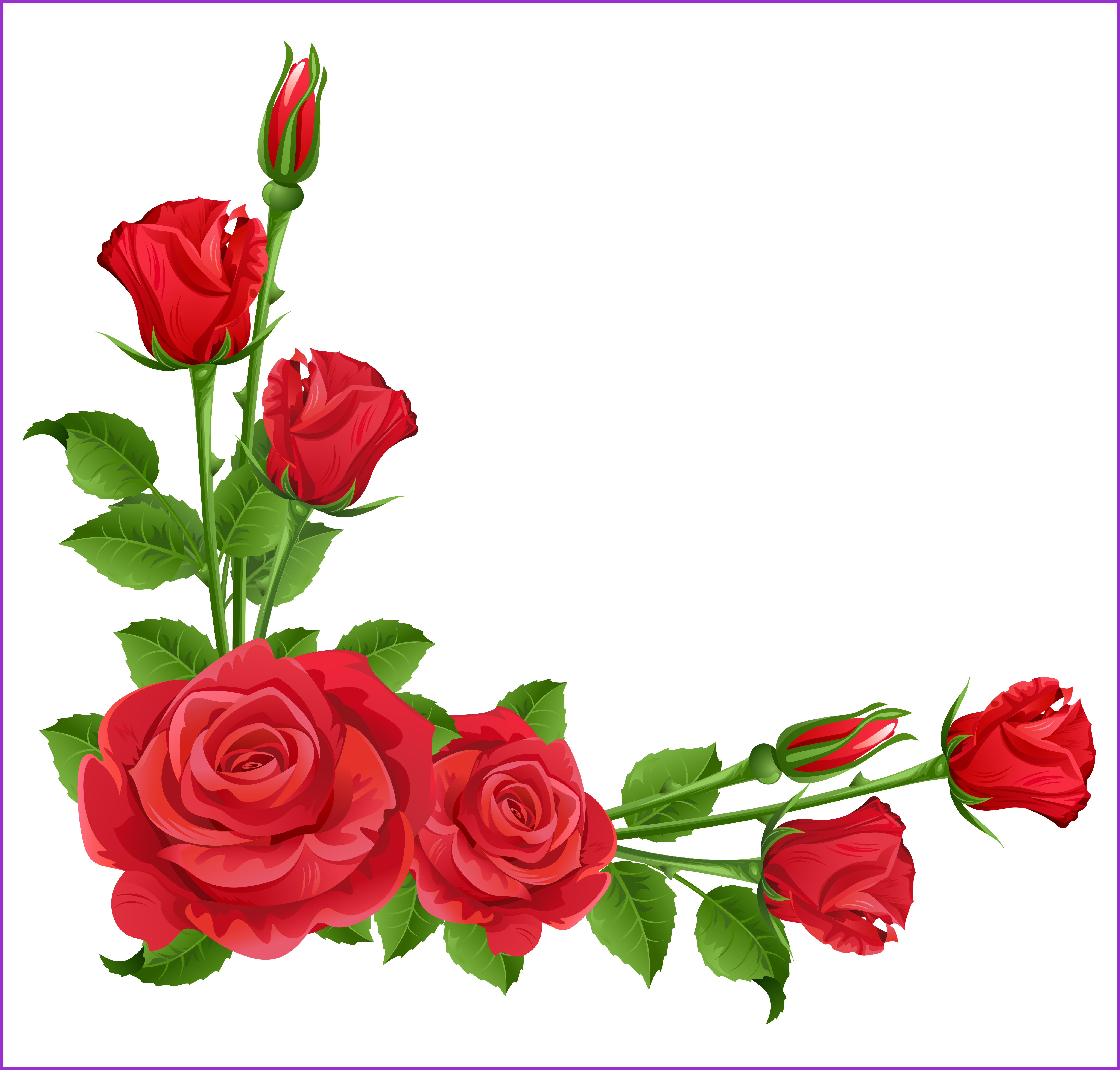 Fascinating Red Transparent Png Clipart Frames For - Rose Border Clip Art (5217x4984)