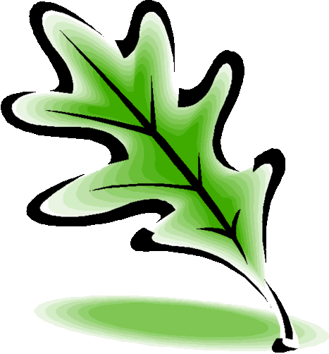 Oak Garden Centre - Nursery School (466x500)