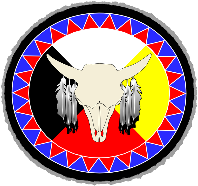 Buffalo Medicine Wheel - Emblem (735x800)