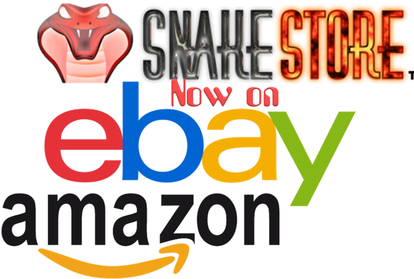 Ebay & Amazon Update - Amazon Fba: The Beginners Guide To Selling Your Own (811x551)