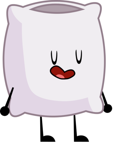 Bfsp Portrait Pillow - Thumbnail (379x479)