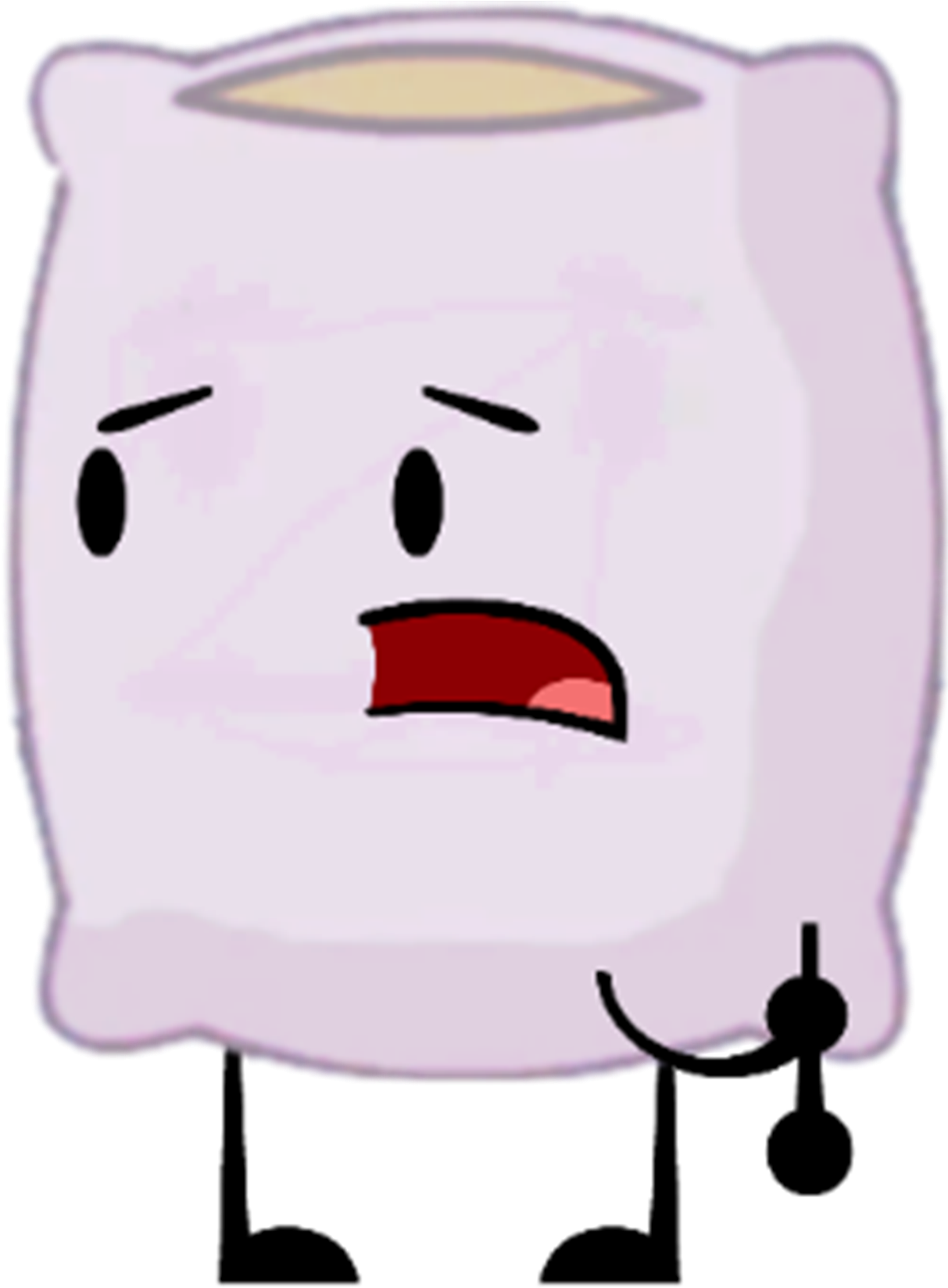 Pillow-0 - Battle For Dream Island Pillow (1234x1659)