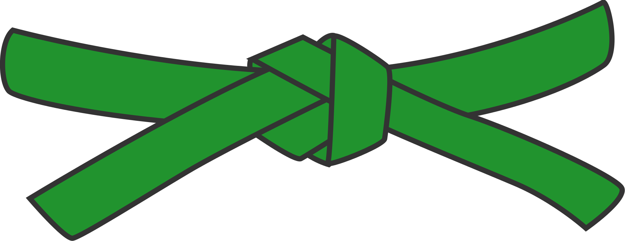 Image Result For Green Belt - Martial Arts Green Belt (2000x772)