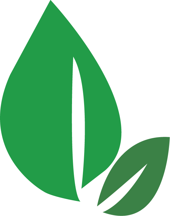 Green Leaves - Green Leaves (576x734)