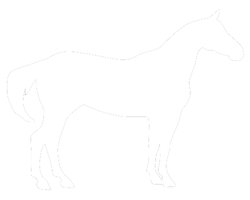 Who We Are - Easy Pumpkin Carving Horse (500x400)