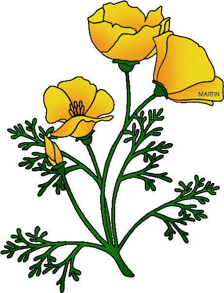 Poppy Clipart Printable - California Poppy Clip Art (484x648)