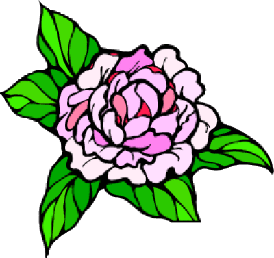 Peony Clipart Indiana - Indiana State Flower Peony (400x377)