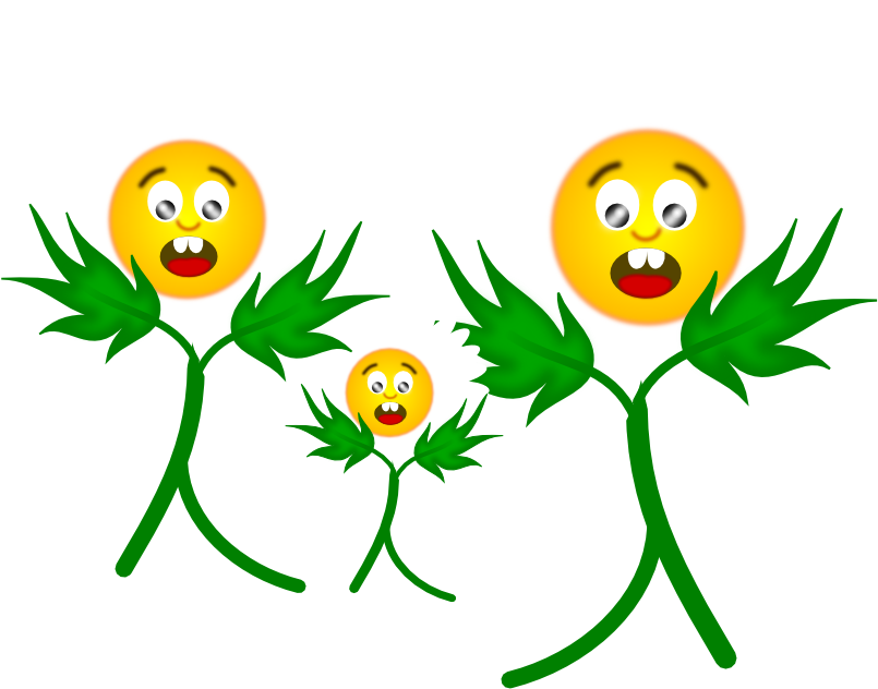 Flower Flora 129 Xochi - Portable Network Graphics (999x706)