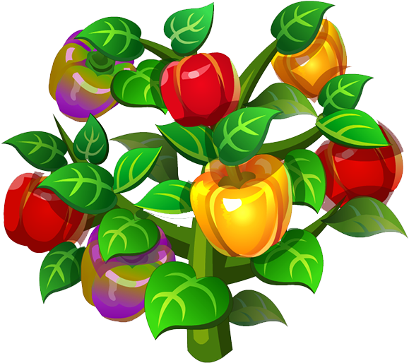 Chili Pepper Bell Pepper Tree Leaf - Vegetables And Trees Clipart (578x596)