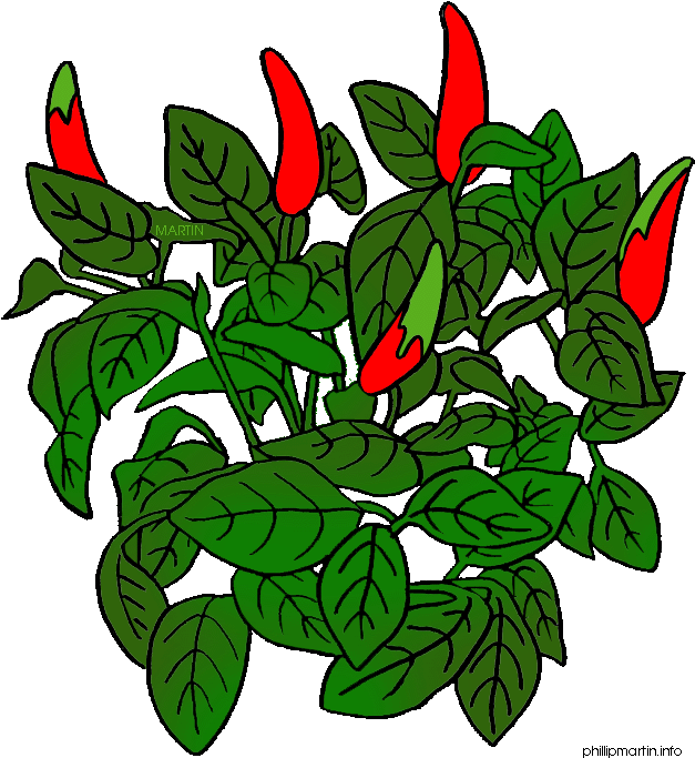 Bushes Clipart Bare - Bushes Clipart Bare (648x709)
