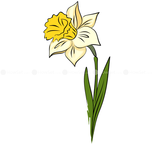 How To Draw Flowers - How To Draw Flowers (500x500)