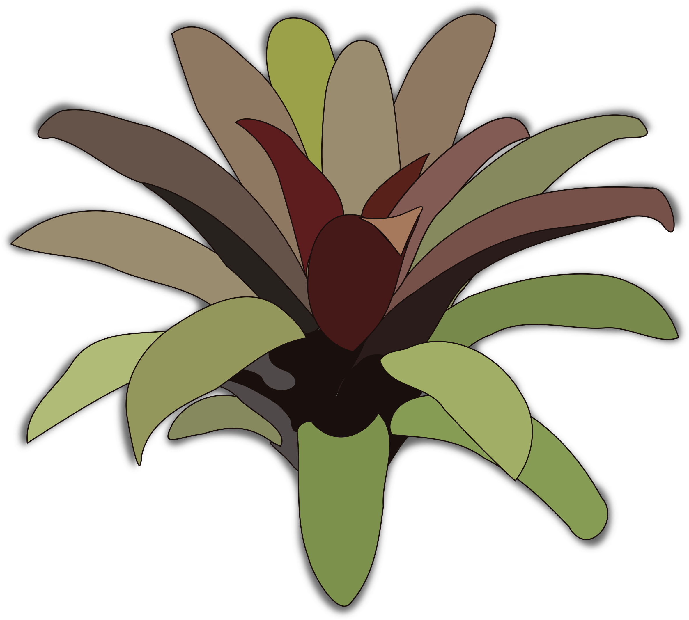 Bromelia Clipart - Bromeliad Icon (2400x2400)
