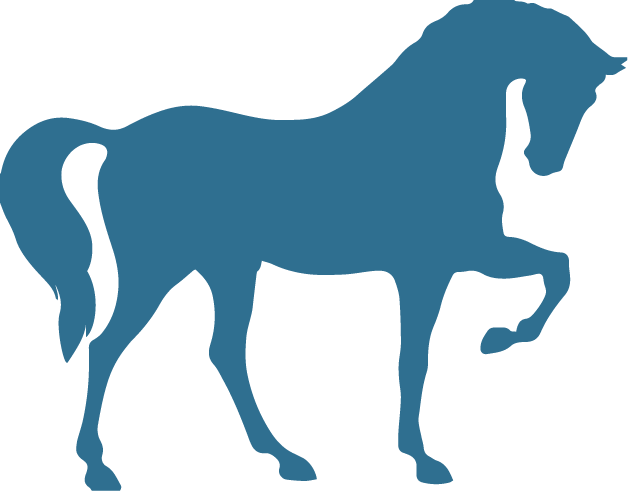 Horse - Imagenes De Siluetas De Caballos (628x491)