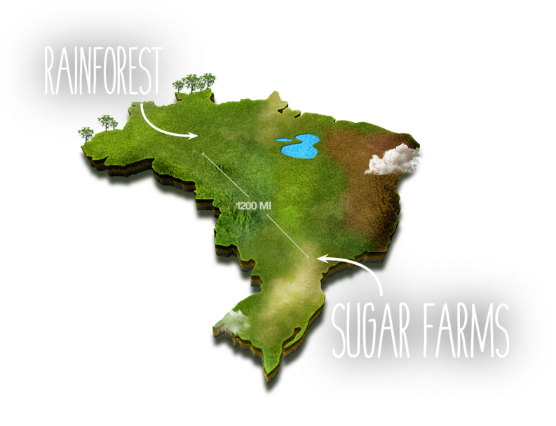 Brazil's Sugarcane Cultivation Is Concentrated In The - Atlas (793x608)
