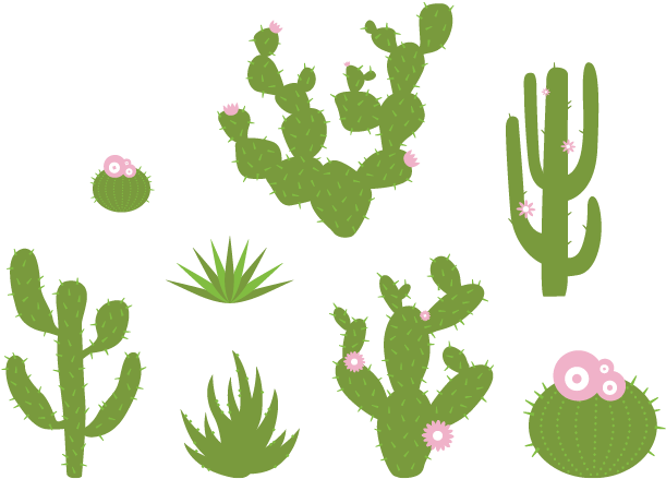 Desert Plants Wall Decals - Eastern Prickly Pear (660x500)