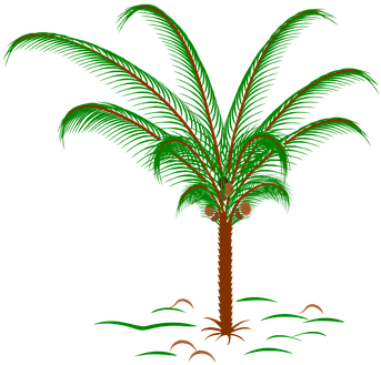 Tree, Palm, Palm Leaves, Plant - Tropische Palme Kinderwagendecke (480x340)