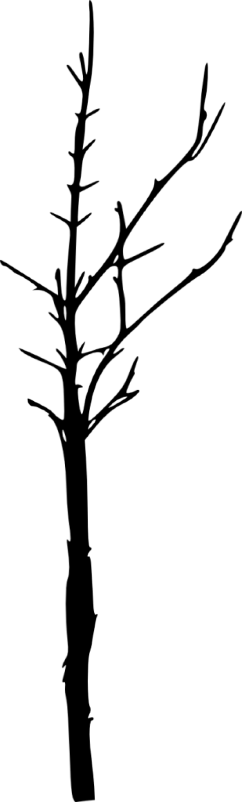 Free Png Bare Tree Silhouette Png Images Transparent - Portable Network Graphics (480x1591)
