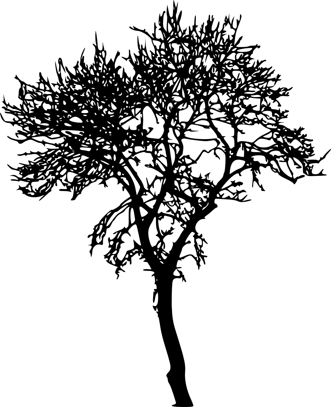 18 Bare Tree Silhouette Png Transparent Vol 2 Onlygfxcom - Dessin Arbre Sans Feuille Peuplier (1088x1338)