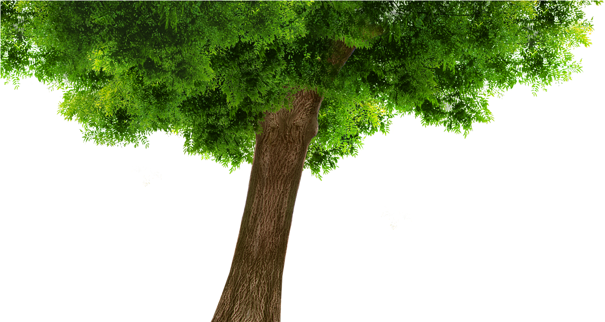 Welcome To Tour Hub Destination - Estoria De Maria (2080x913)