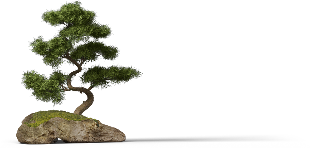 We Have Been Carefully Selecting Only The Best, The - Tree (1251x591)