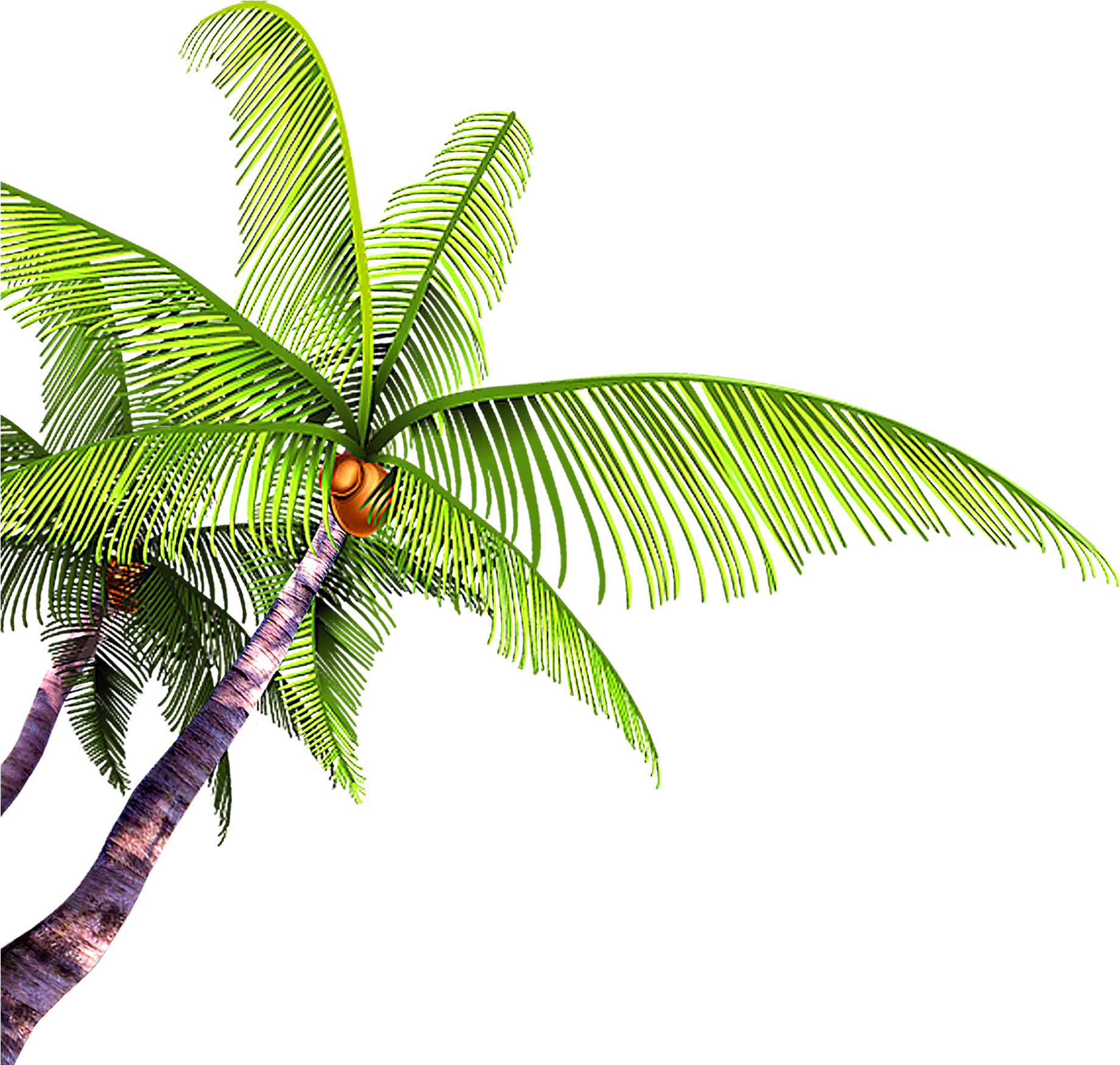 Summer Poster Beach - Beach Summer Png (1950x1785)