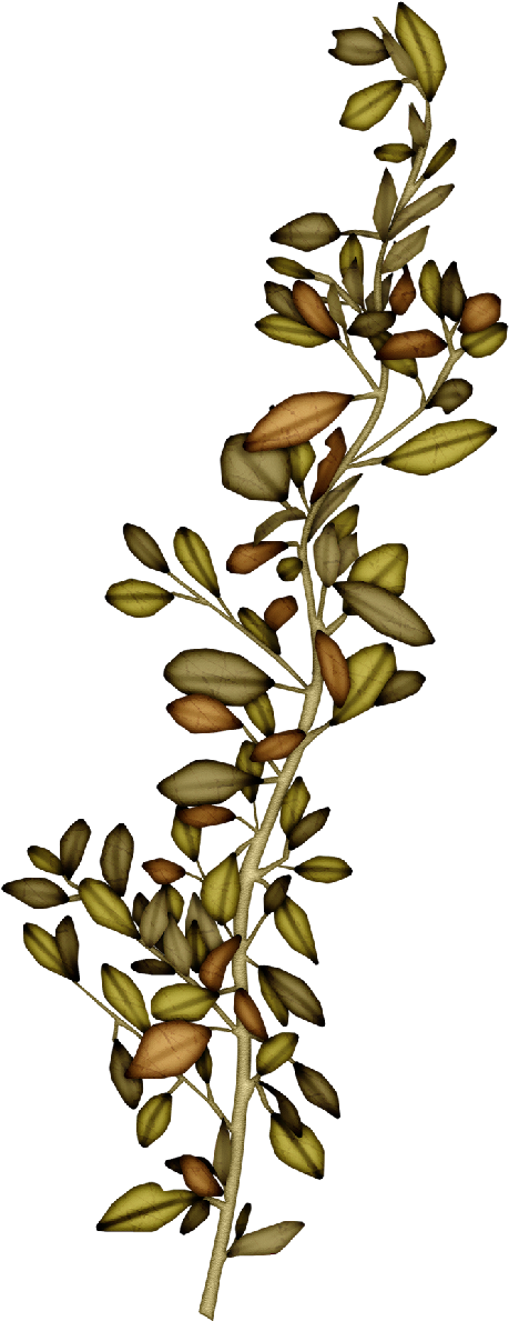 Tubes Vegetation - Portable Network Graphics (500x1214)