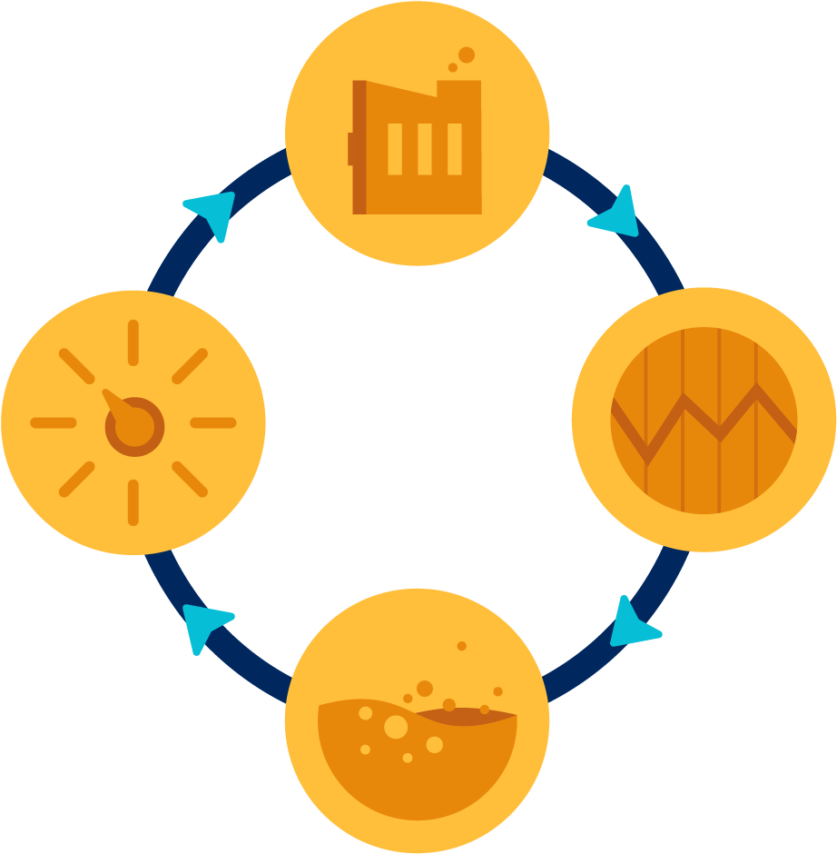 Plant Life Cycle Results - Project Control (1000x1000)