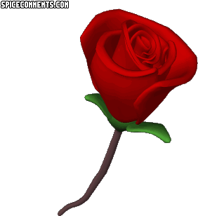 Page 92 For Facebook, Twitter And Myspace - Lule Per 7 Marsin (350x350)