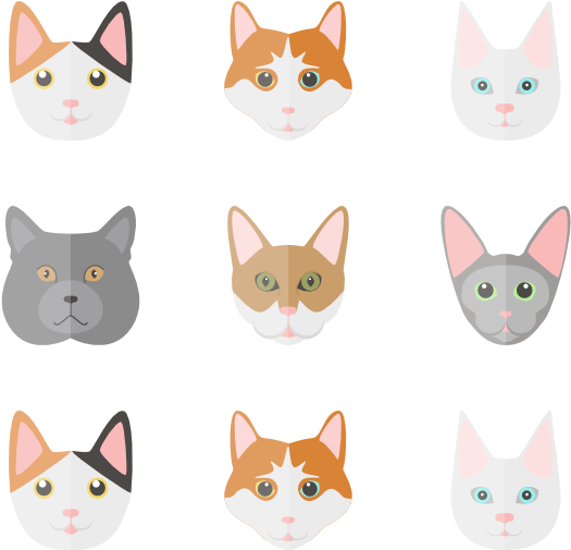 Cat Set 6 Icons - Cat Flat Icon (600x564)