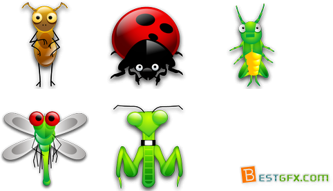 Tiny Bugs Icon 5 Icons - Insect (552x296)