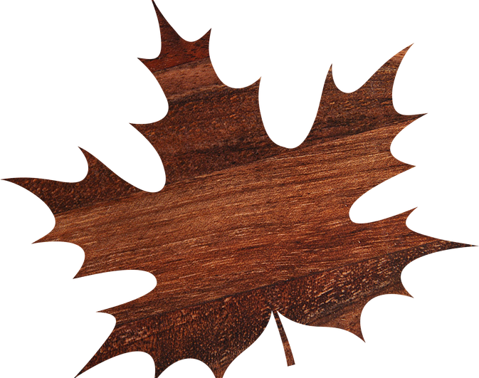 5/10 - Give Thanks Leaf Shower Curtain (673x531)