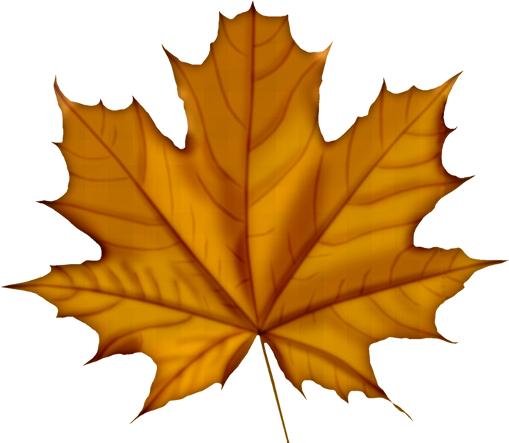 Automne - Feuille D Automne Png (725x635)