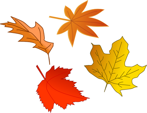 Feuilles D - Autumn Leaves Illustration (500x384)
