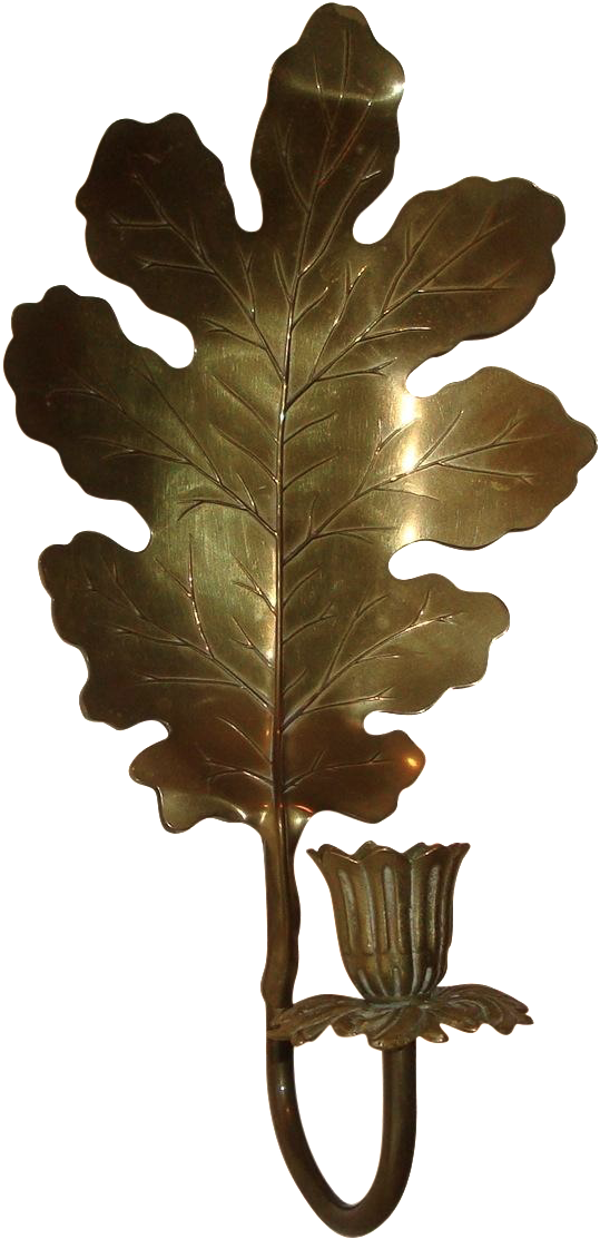 Gambel Oak (598x1183)