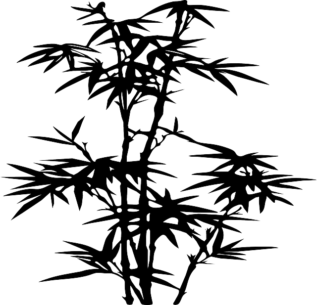Allen Silhouette, Plants, Bamboo, Leaf, Tree, Danny, - Bamboo Leaves Silhouette Png (640x617)
