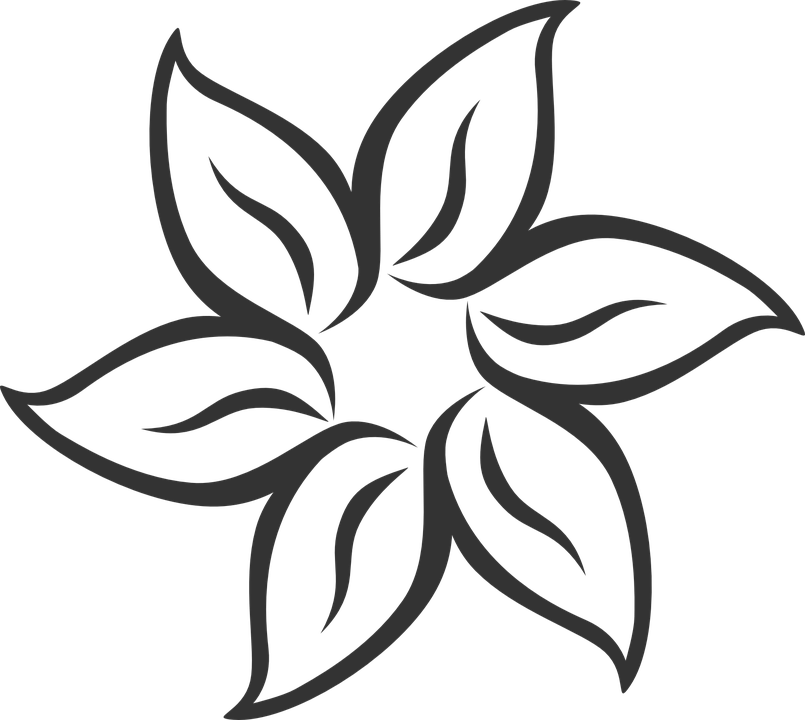 Clipart Flower 4 Petal Heart Template Arresting Outline - Flowers That You Can Draw (805x720)