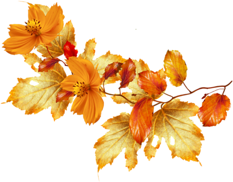 Feuilles D'automne Série - Fall Flower Frame (500x383)