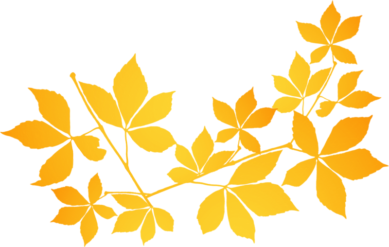 Feuilles D'automne - Feuilles D'automne (800x508)