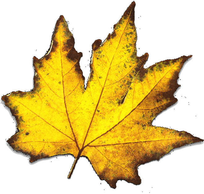 Le Foyer Rural D'haroué Et Les Foyers Ruraux Du Secteur - Screenshot (733x647)