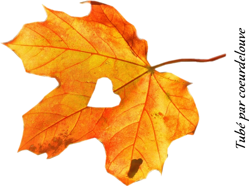 Love Whisper With Flower (495x370)