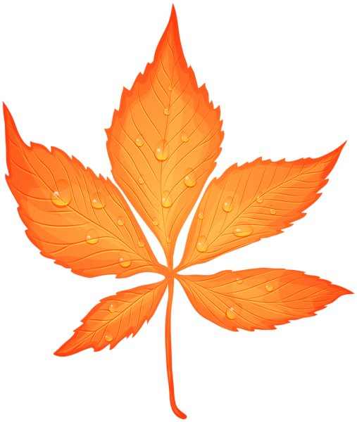 Autumn Leaf With Dew Drops Transparent Png Clip Art - 2 Transparent Leaf (507x600)