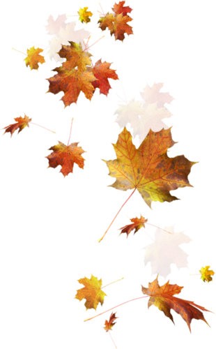 Feuilles D'automne Série - Autumn Leaves Falling Png (310x500)