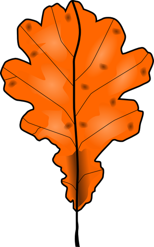 Brun Automne Feuilles Vecteur Une Image Clipart - Orange Leaf Clip Art (311x500)