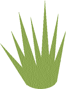 Grass - - Tussock Grass Transparent Png (302x406)