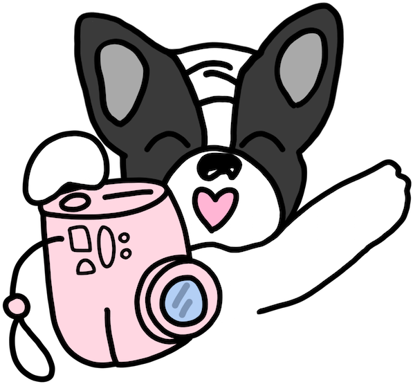 Frenchie Travel Stickers By Yeah Bunny Messages Sticker-4 - Yeah Bunny Sticker Png (618x618)