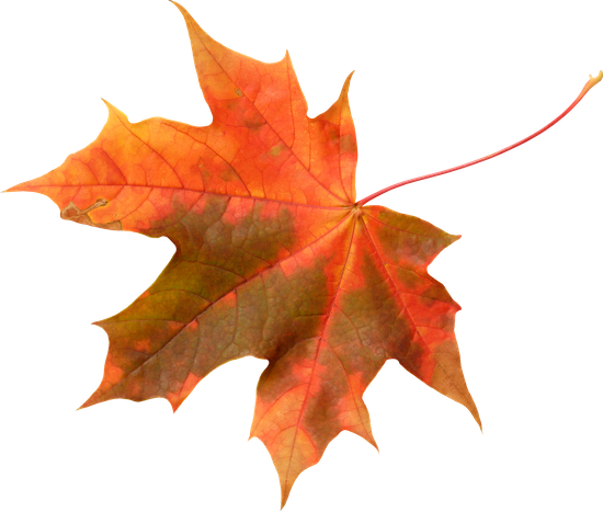 Autumn Leaf - Snow Globe (550x466)