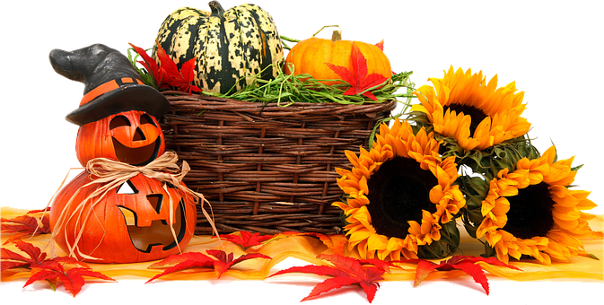 Isolated, Autumn, Food, Thanksgiving - Herbst Png (673x340)